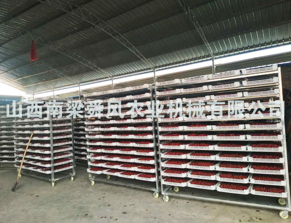 烘干床